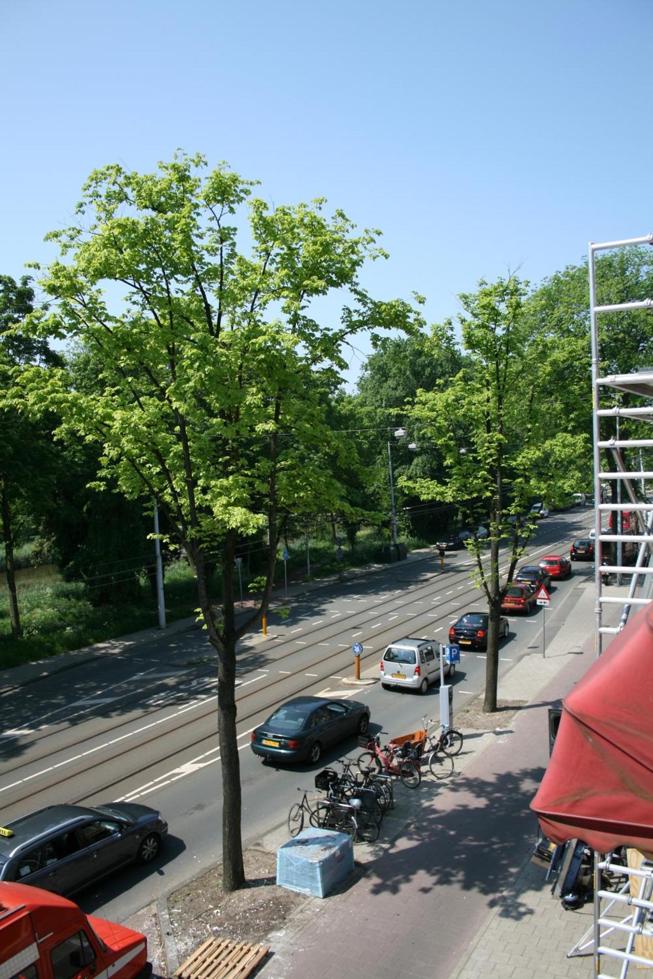 Frankendael Apartments Amsterdam Exterior photo