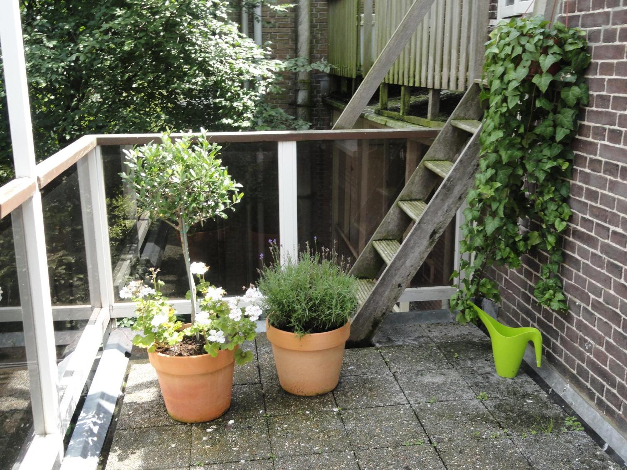 Frankendael Apartments Amsterdam Exterior photo